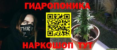 прущая мука Краснокаменск