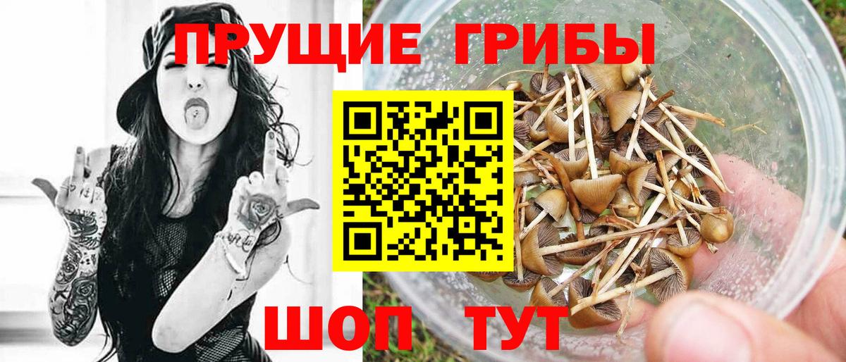 Галлюциногенные грибы прущие грибы Кемерово