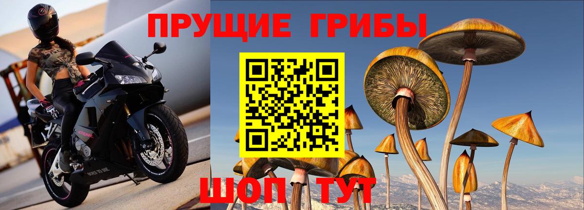 Кемерово  Галлюциногенные грибы мицелий  Вход с VPN  купить наркоту  Галлюциногенные грибы Magic Shrooms 